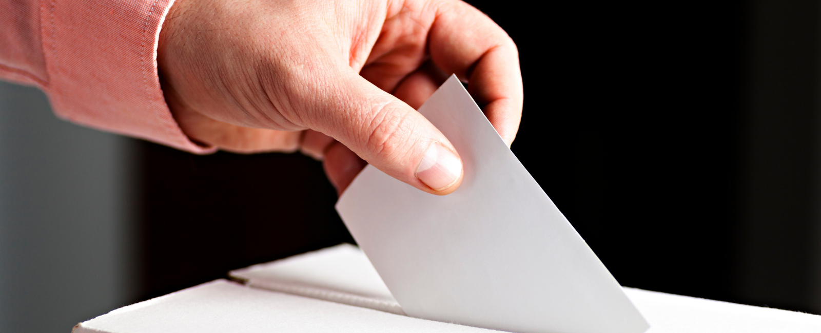 Image of someone casting their vote into a ballot box